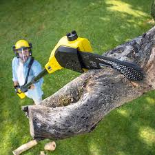 Best Lawn Pest Prevention  in Belle Mead, NJ