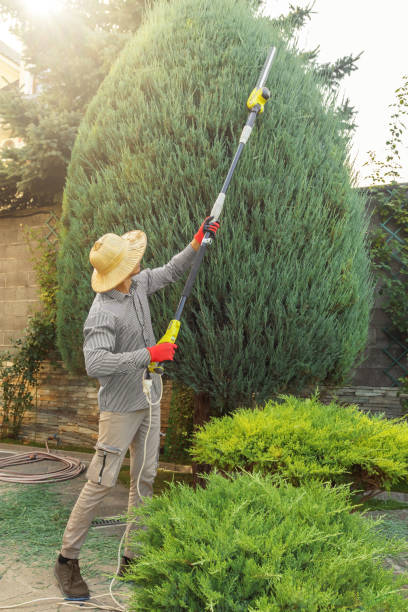 Lawn Drainage Solutions in Belle Mead, NJ